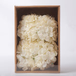 Great Home Peony Flower White