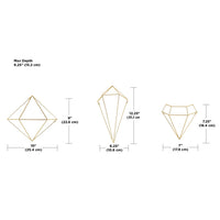 Umbra Prisma Wall DÃ©cor Set of 6