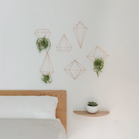 Umbra Prisma Wall DÃ©cor Set of 6