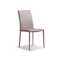 Irene Dining Chair (6573599359055)