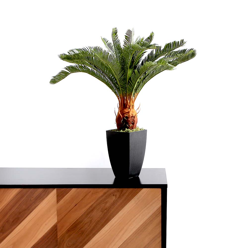 Flourish Cycas Pot (7585807696113)