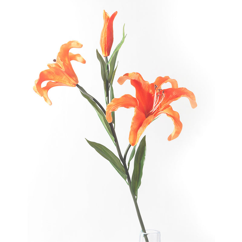 Flourish Enchantment Lily flower orange (7585808449777)