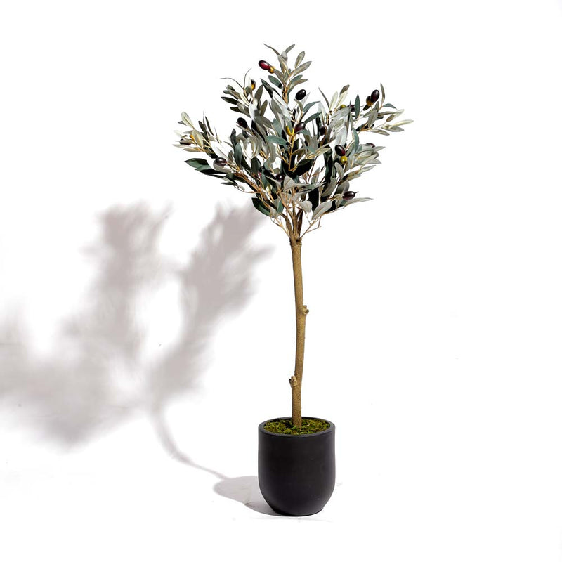 Flourish Olive tree with pot (7628731744497)